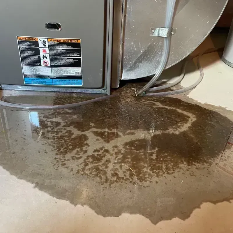 Appliance Leak Cleanup in Cross Lake, MN